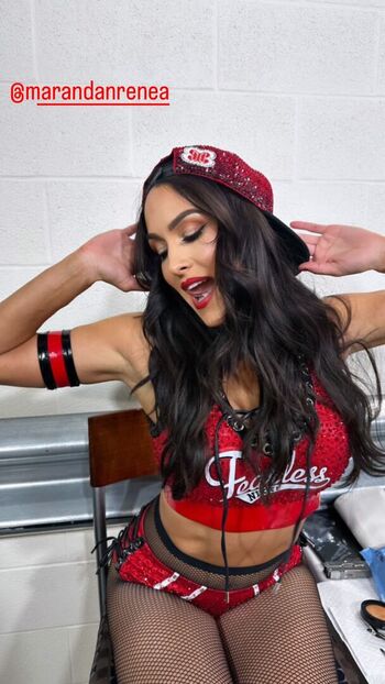 The Bella Twins