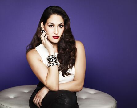 The Bella Twins