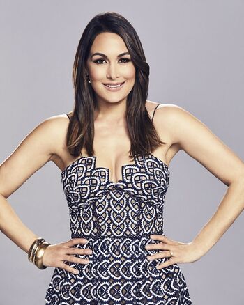 The Bella Twins