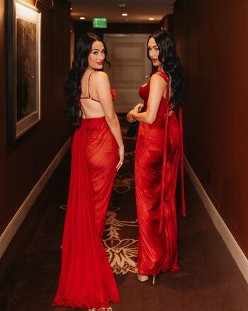 The Bella Twins