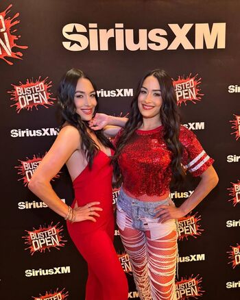 The Bella Twins