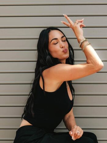 The Bella Twins