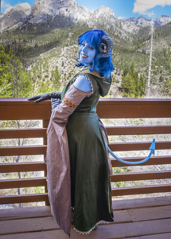 The Cosplay Bunny