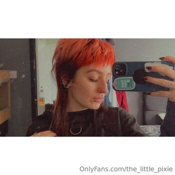 the_little_pixie