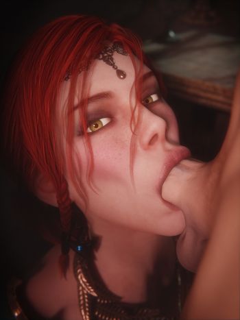 The Witcher