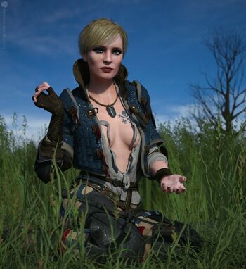The Witcher