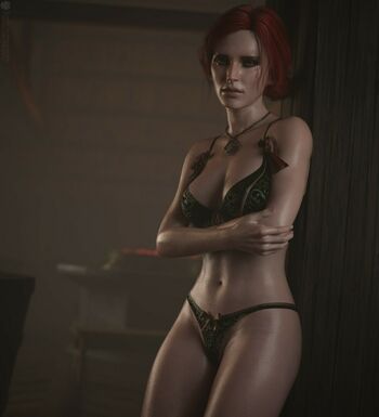The Witcher