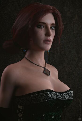 The Witcher