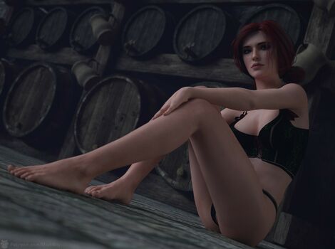 The Witcher