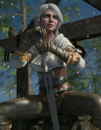 The Witcher