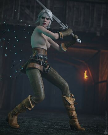 The Witcher