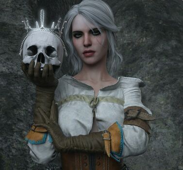 The Witcher