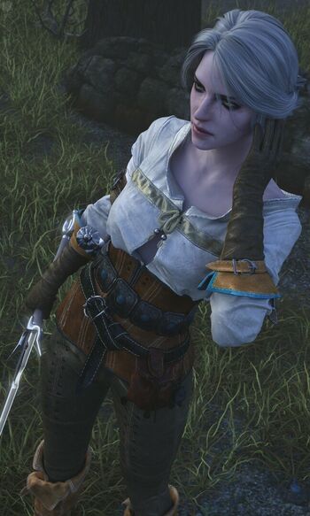 The Witcher
