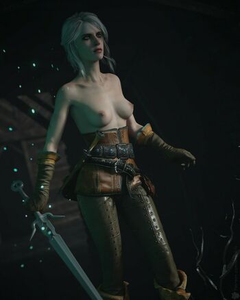 The Witcher