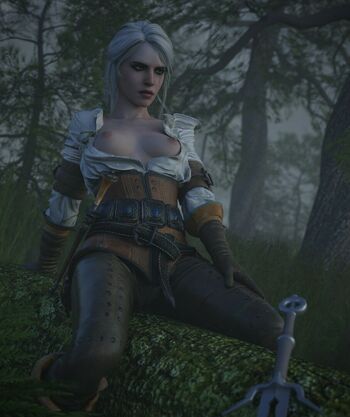 The Witcher
