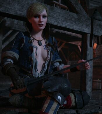 The Witcher