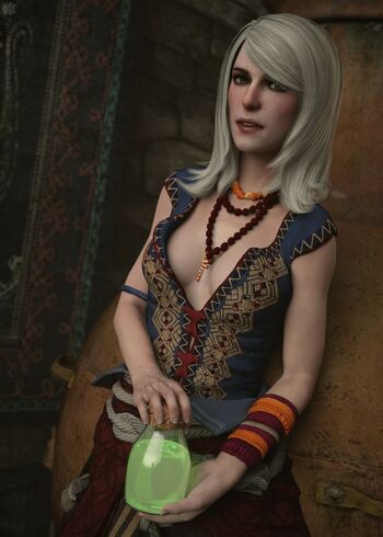 The Witcher