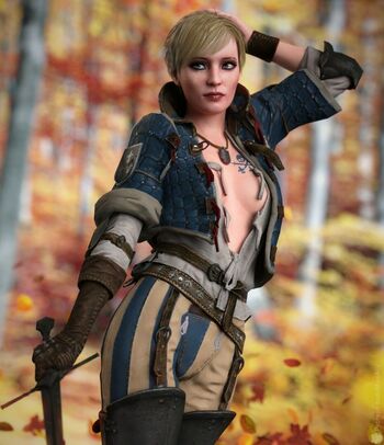 The Witcher