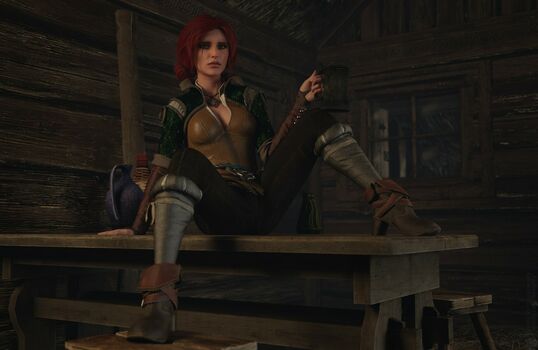 The Witcher