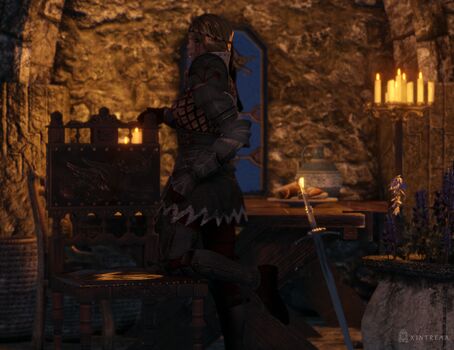 The Witcher