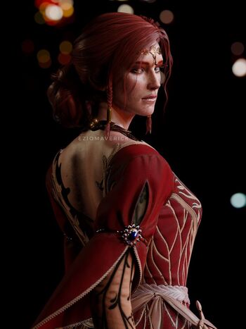 The Witcher