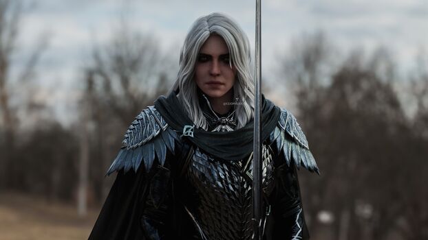 The Witcher