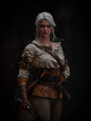 The Witcher