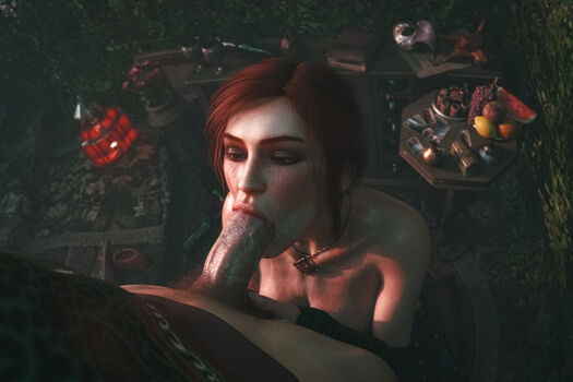 The Witcher