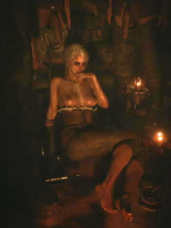 The Witcher