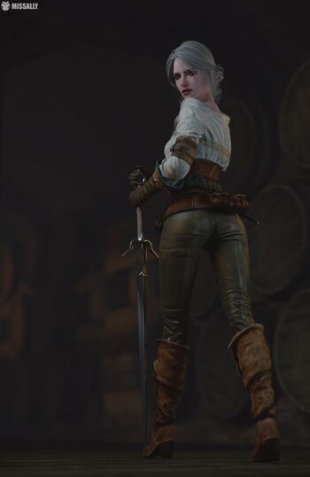 The Witcher