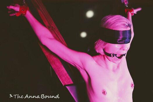 theannabound