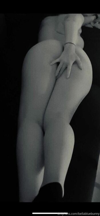 thebellebunny