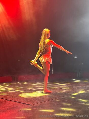 thecircusdiaries