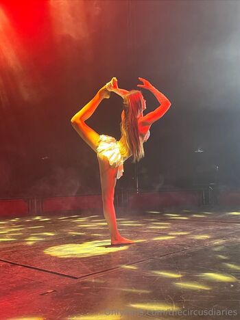 thecircusdiaries