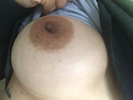 thedanavespoli