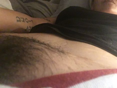 thedanavespoli