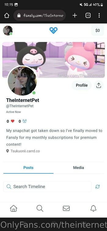 theinternetpet