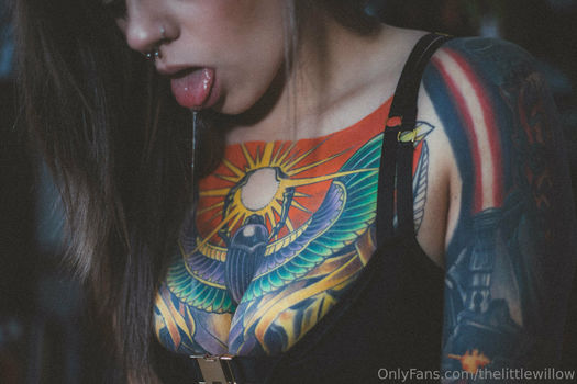 thelittlewillow