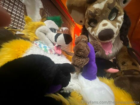 thepineapplefox