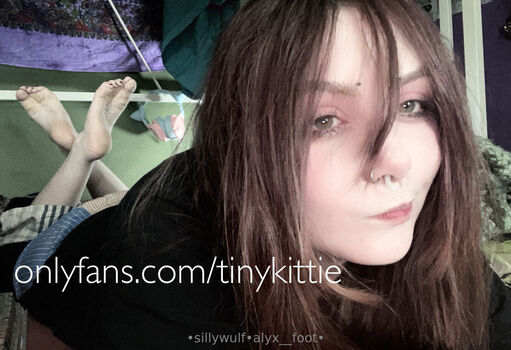 tinykittie
