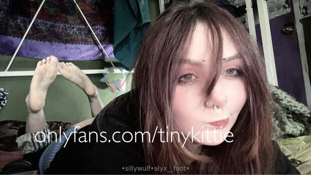 tinykittie