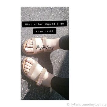 tinytoetracy