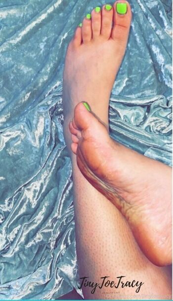 tinytoetracy