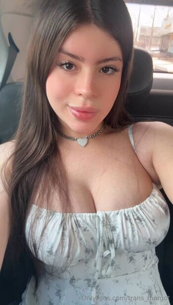 trans_margot