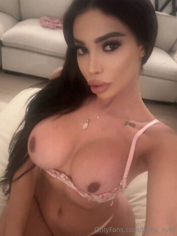 trans_nyla