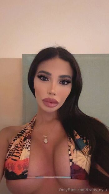 trans_nyla