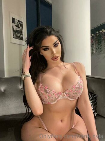 trans_nyla