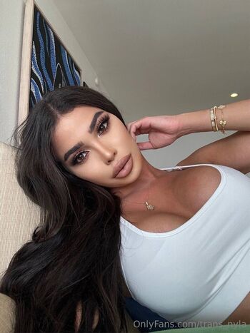 trans_nyla