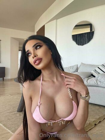 trans_nyla