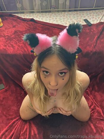 trapx.xbunnie